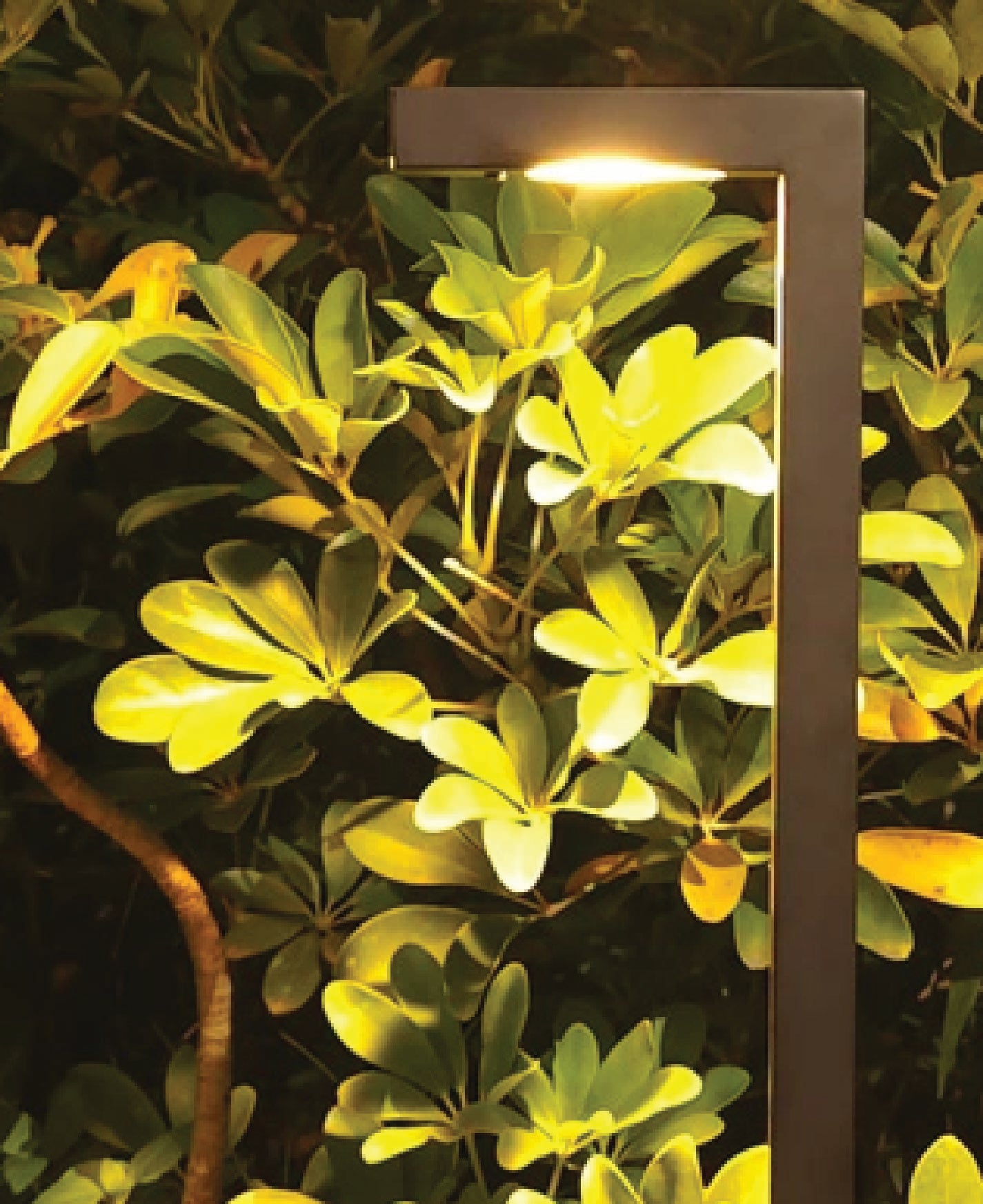Modern L-Shaped LED Pathlight Solid Brass Low Voltage Landscape