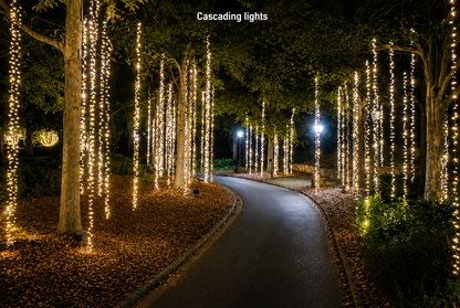 100 Warm White Wide-Angle LED Mini Lights – Coaxial Watertight Connection