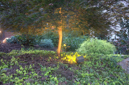antique brass outdoor wall washer flood light with ground stake installed in landscape shining on a tree