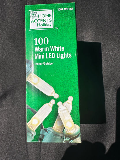 Side view of the Home Accents Holiday warm white LED mini Christmas lights packaging.
