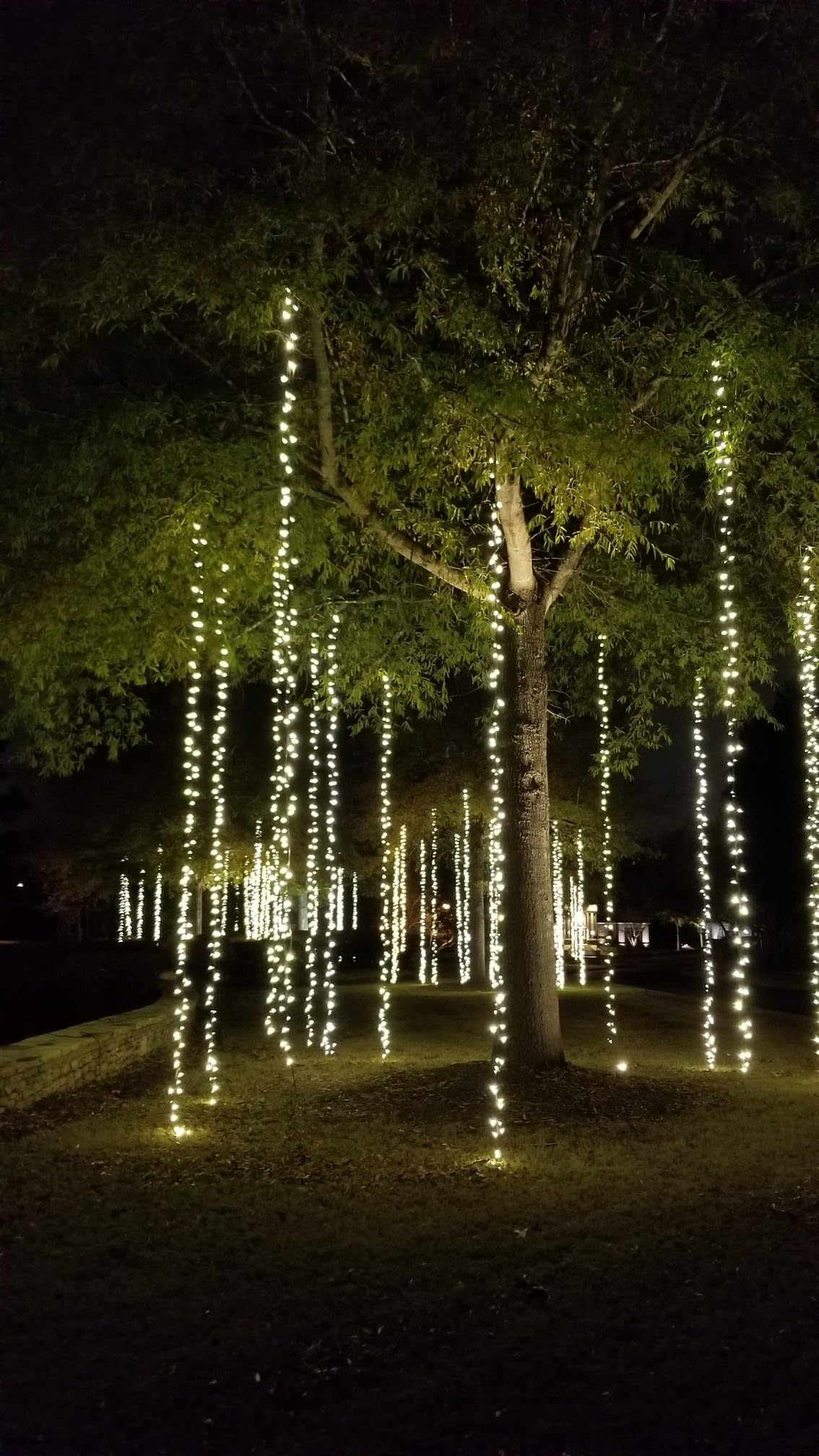 Warm white LED Christmas string lights installed along a home's roofline.